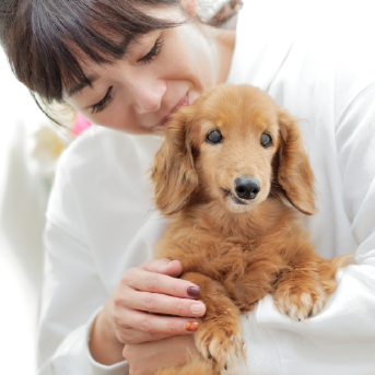 愛犬の健康を気遣う飼い主の皆さまへ！