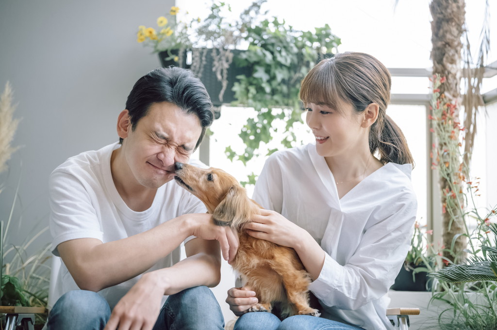 犬が飼い主の顔を舐める理由とは やめさせたい場合にはどうすればいい 公式 ピュアラックス Pureluxe 無添加ドッグフード キャットフード通販