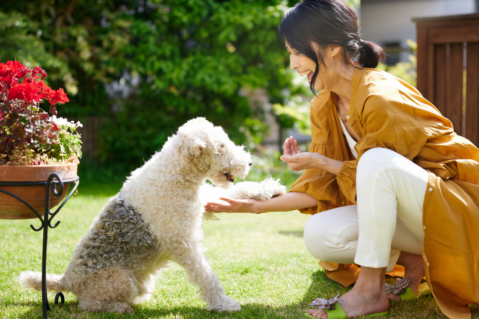 愛犬とのコミュニケーションの重要性と構いすぎのデメリット