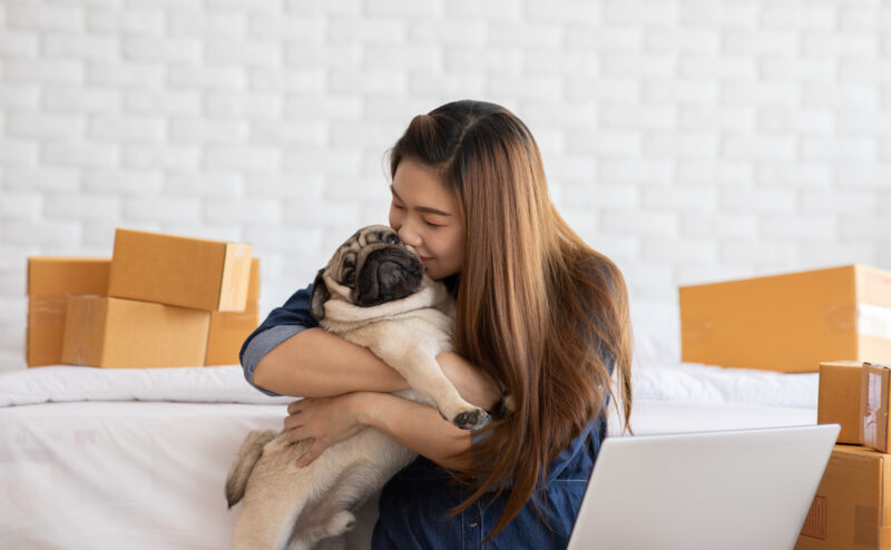 犬と一緒に引っ越す際のポイントと注意点について