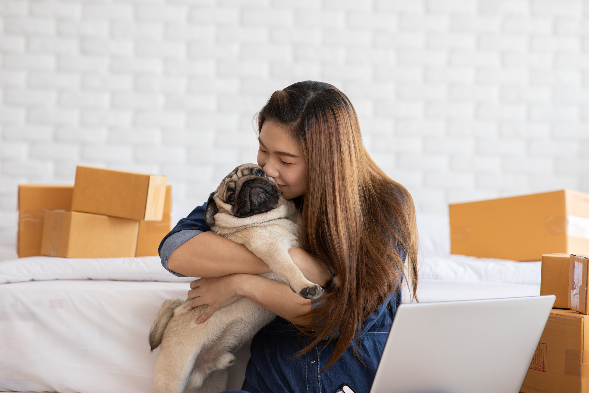 犬と一緒に引っ越す際のポイントと注意点について