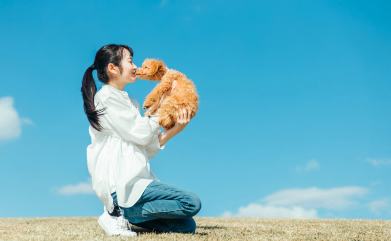 愛犬と遊ぼう！愛犬と楽しむお出かけアイデア7選