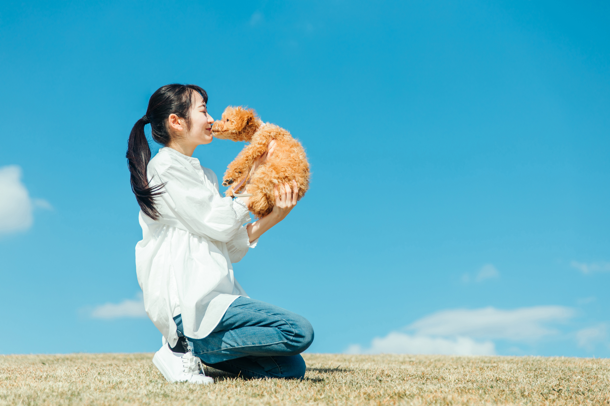 愛犬と遊ぼう！愛犬と楽しむお出かけアイデア7選